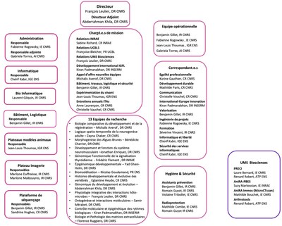 Organizational chart