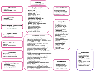 Organizational chart