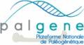 logo_PALGENE