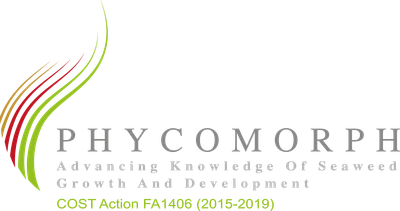 Logo Phycomorph