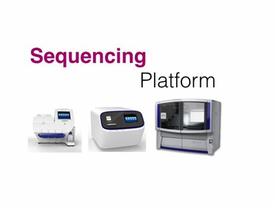 Logo_platform_500x375