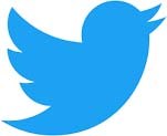 twitter bird copy