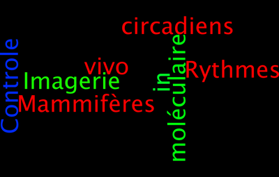 KPadamanabhanwordleFR