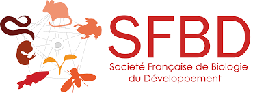 Logo SFBD