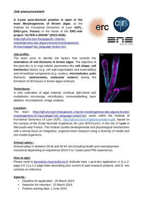 Post-doc announcement 2