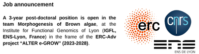Post-doc announcement ERC2_screenshot